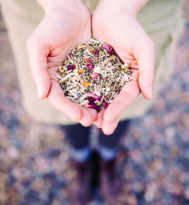 The Power of Flowers is Real