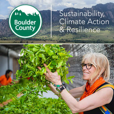 Sustainable Packaging tea