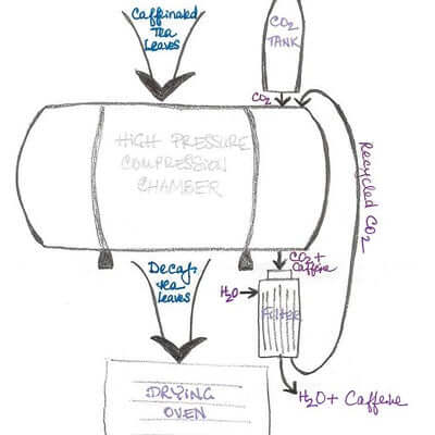 The Science Behind Naturally Decaffeinated Tea