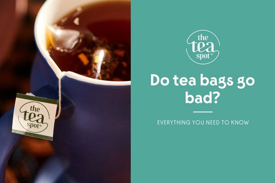 do tea bags go bad? everything you need to know