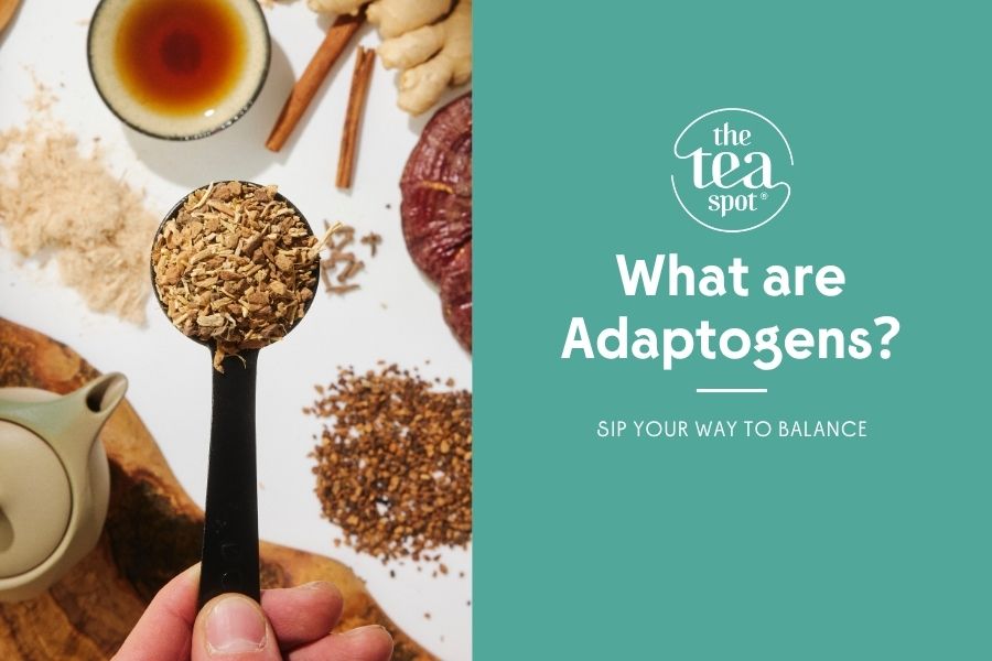 What Are Adaptogens? Your Guide to Nature’s Stress Support – The Tea Spot
