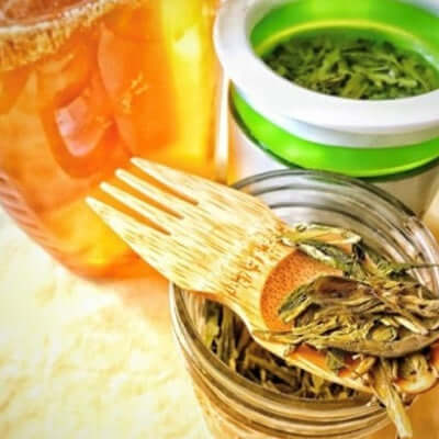 The Tea Spot Ambassador Feature