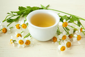 chamomile flowers surround a cup of brewed chamomile tea