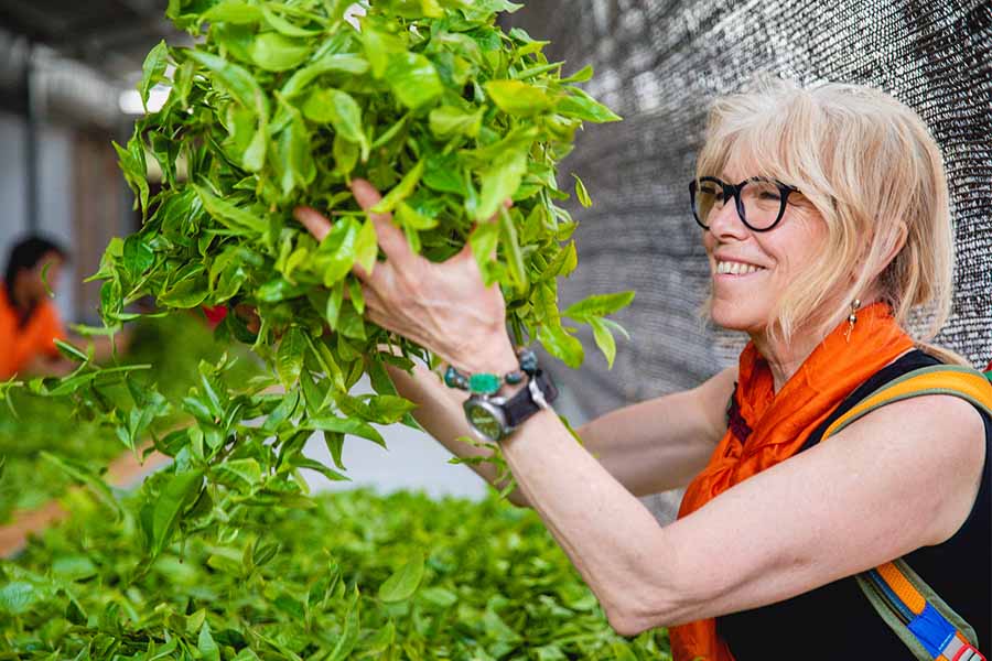 Leading the Charge: The Tea Spot's Journey as a Women-Owned Tea Busine