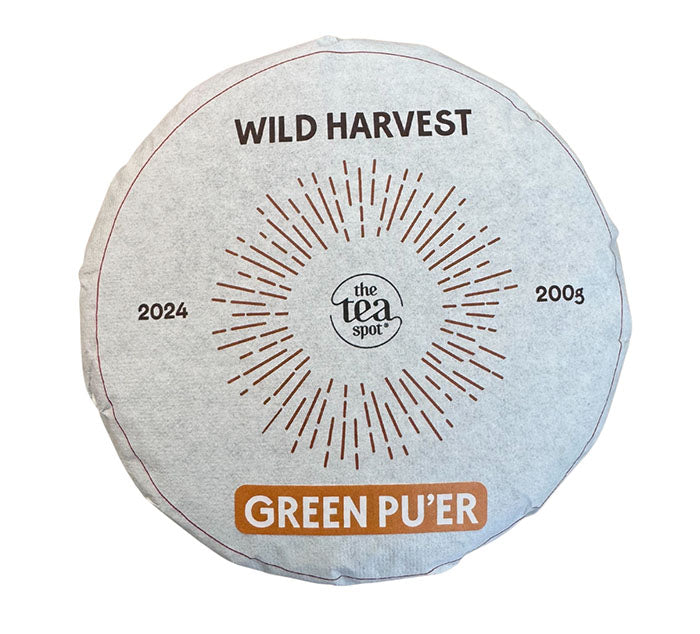 Round package of 2024 Wild Harvest Green Pu'er tea from The Tea Spot on a white background
