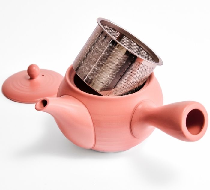 The Tea Spot Blossom Tokoname Kyusu Teapot