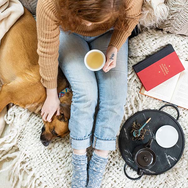 a person sits on a bed with tea, a book, and a dog