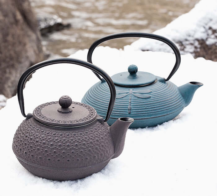 The Tea Spot Tetsubin Teapot