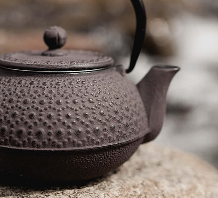 Tetsubin Cast Iron Teapot Brown