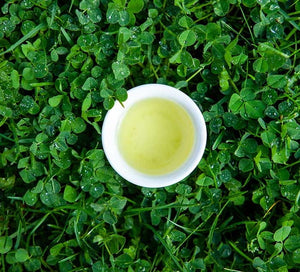 Organic Japanese Green Tea Steeped