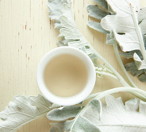 Make Organic Silver Needle Tea