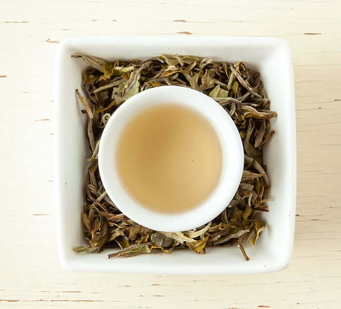 Organic White Peony Tea Steeped