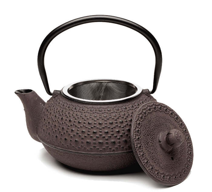 Tetsubin Cast Iron Teapot Japanese Teapot with Infuser Tea Spot